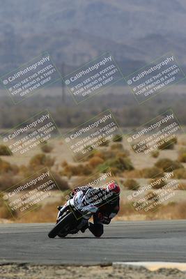 media/Apr-10-2022-SoCal Trackdays (Sun) [[f104b12566]]/Turn 5 Tree of Life (1040am)/